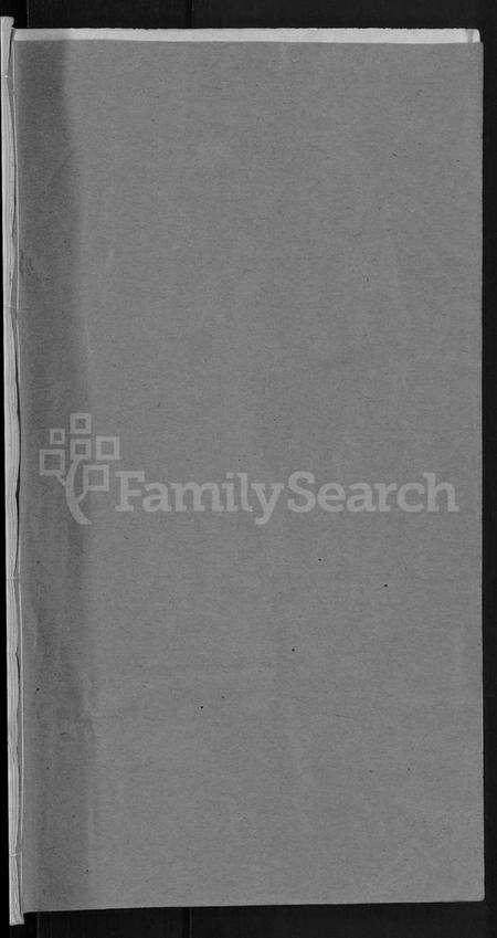 湖北王氏族谱-王氏宗谱 [19卷].pdf电子版预览图1