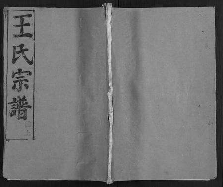 湖北王氏族谱-王氏宗谱 [31卷及卷首2卷, 卷表7卷].pdf电子版缩略图