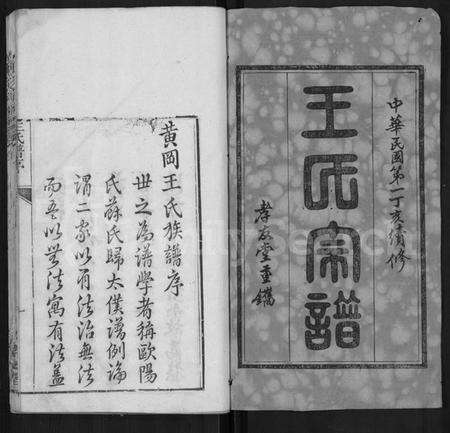 湖北王氏族谱-王氏宗谱 [48卷,首6卷].pdf电子版预览图1