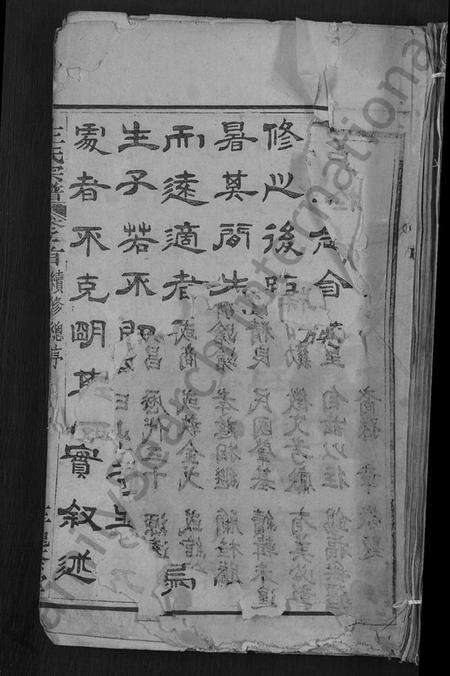 湖北王氏族谱-王氏宗谱 [各房分卷,首4卷].pdf电子版缩略图