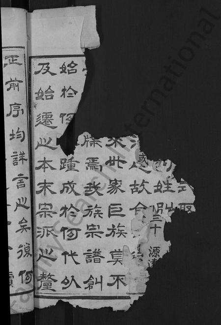 湖北王氏族谱-王氏宗谱 [各房分卷,首4卷].pdf电子版预览图2