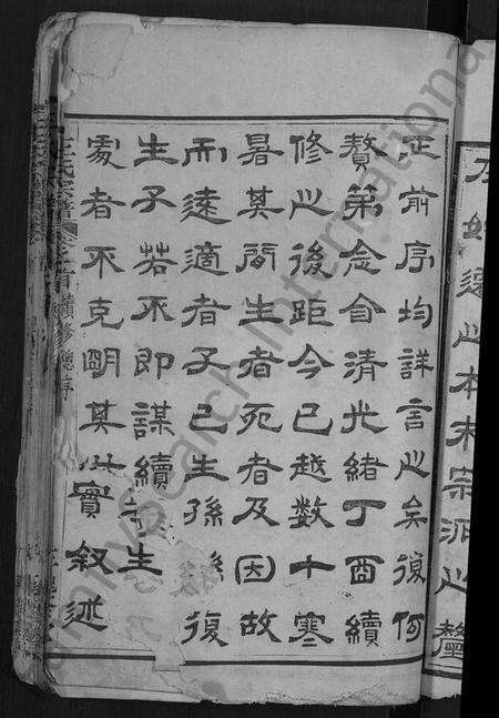 湖北王氏族谱-王氏宗谱 [各房分卷,首4卷].pdf电子版预览图3