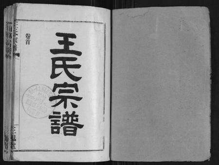湖北王氏族谱-王氏宗谱[10卷首1卷].pdf电子版预览图1