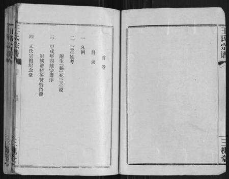 湖北王氏族谱-王氏宗谱[10卷首1卷].pdf电子版预览图2