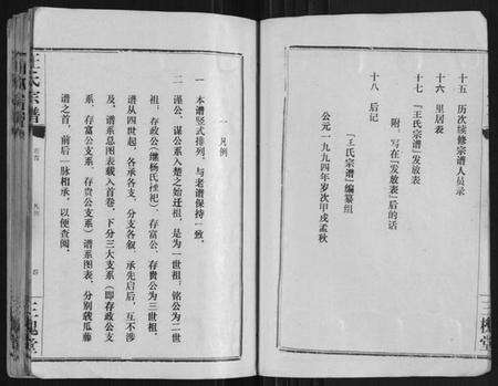 湖北王氏族谱-王氏宗谱[10卷首1卷].pdf电子版预览图5