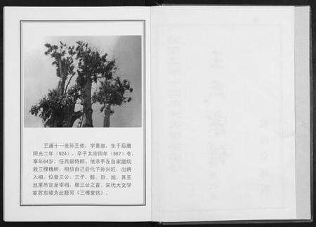 湖北王氏族谱-王氏宗谱[14卷].pdf电子版预览图2