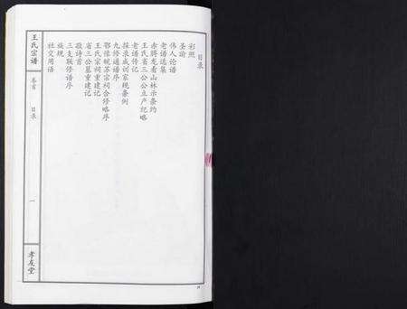 湖北王氏族谱-王氏宗谱[15卷首1卷].pdf电子版预览图1