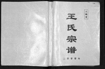 湖北王氏族谱-王氏宗谱[6卷首1卷].pdf电子版缩略图