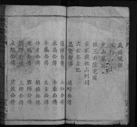 湖北王氏族谱-王氏宗谱[9卷首2卷].pdf电子版预览图2