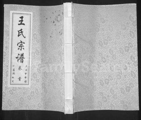 湖北王氏族谱-王氏宗谱 [11卷,首1卷].pdf电子版缩略图