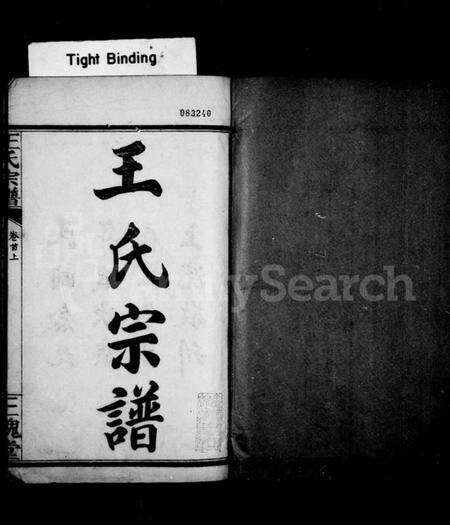 湖北王氏族谱-王氏宗谱 [7卷, 首3卷].pdf电子版预览图1