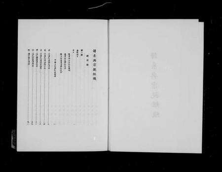 中国未知族谱-谱系与宗亲组织.pdf电子版预览图2