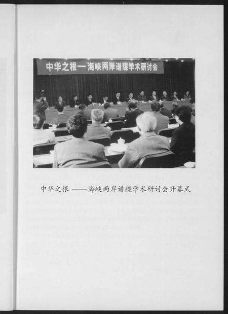 中国未知族谱-海峡两岸谱牒研讨会文集.pdf电子版预览图3