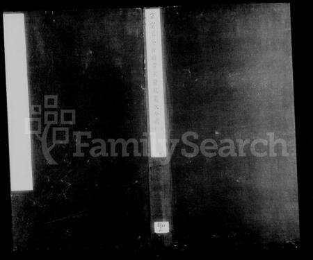 中国未知族谱-宗室王公世职章京爵秩袭次全表 [10卷].pdf电子版缩略图