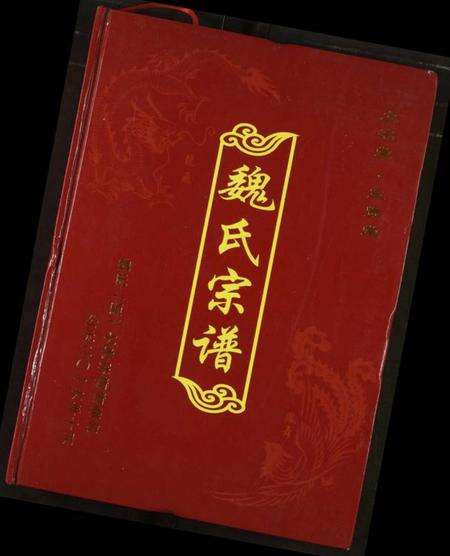 湖北魏氏族谱-魏氏宗谱.pdf电子版缩略图