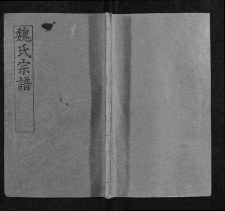 湖北魏氏族谱-魏氏宗谱.pdf电子版缩略图