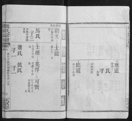 湖北魏氏族谱-魏氏宗谱.pdf电子版预览图5