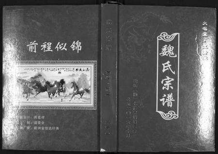 湖北魏氏族谱-魏氏宗谱[12卷首1卷附1卷].pdf电子版缩略图