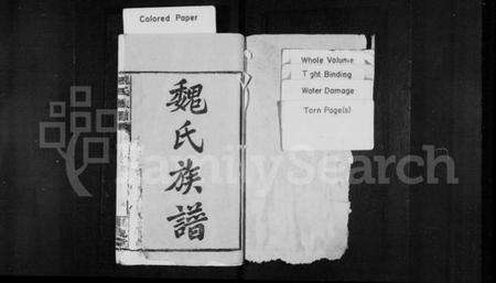 湖北魏氏族谱-魏氏族谱 [15卷,首2卷].pdf电子版预览图1