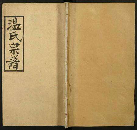 湖北温氏族谱-温氏宗谱.pdf电子版缩略图