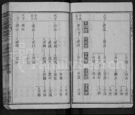 湖北吴氏族谱-吴氏宗谱 [4卷,首1卷].pdf电子版预览图2