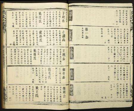 湖北吴氏族谱-吴氏宗谱.pdf电子版预览图2