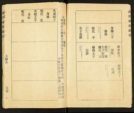湖北武氏族谱-武氏宗谱.pdf电子版预览图3