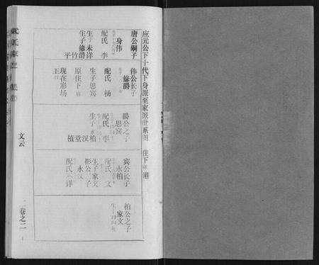 湖北武氏族谱-武氏家史.pdf电子版预览图1