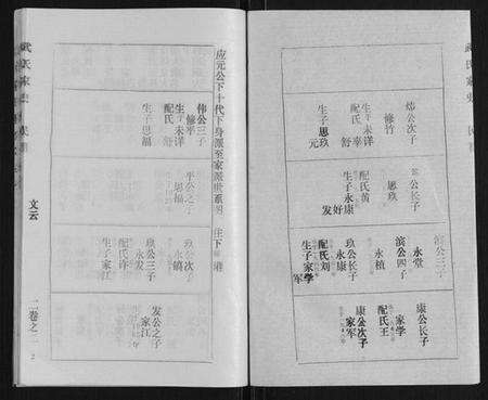 湖北武氏族谱-武氏家史.pdf电子版预览图2