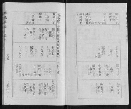 湖北武氏族谱-武氏家史.pdf电子版预览图3