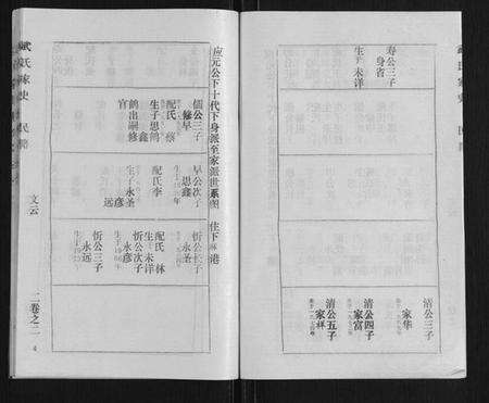 湖北武氏族谱-武氏家史.pdf电子版预览图4
