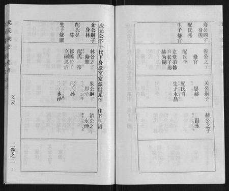湖北武氏族谱-武氏家史.pdf电子版预览图5
