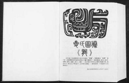 中国夏氏族谱-中华夏氏族谱.pdf电子版预览图2