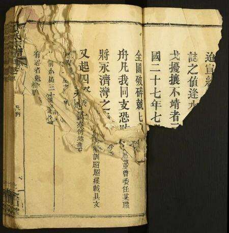 湖北夏氏族谱-夏氏宗谱.pdf电子版预览图2