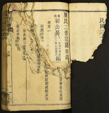 湖北夏氏族谱-夏氏宗谱.pdf电子版预览图3