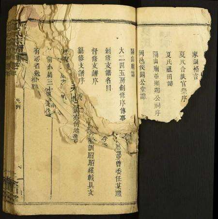 湖北夏氏族谱-夏氏宗谱.pdf电子版预览图4