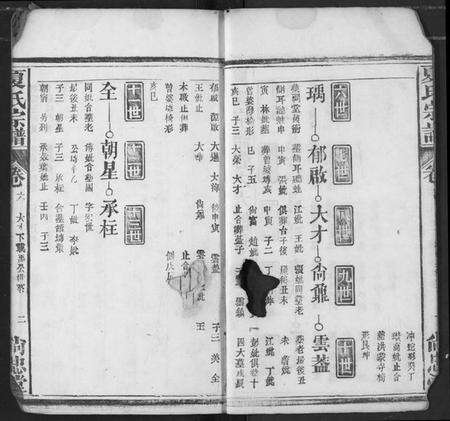 湖北夏氏族谱-夏氏宗谱.pdf电子版预览图2