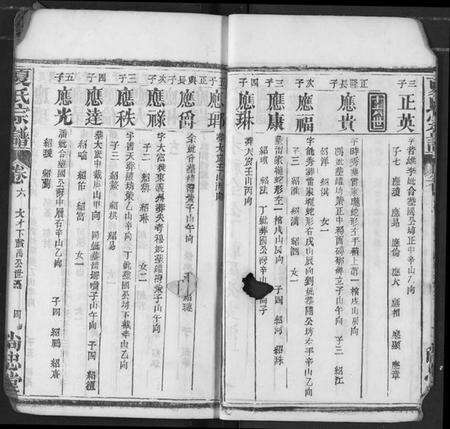 湖北夏氏族谱-夏氏宗谱.pdf电子版预览图4