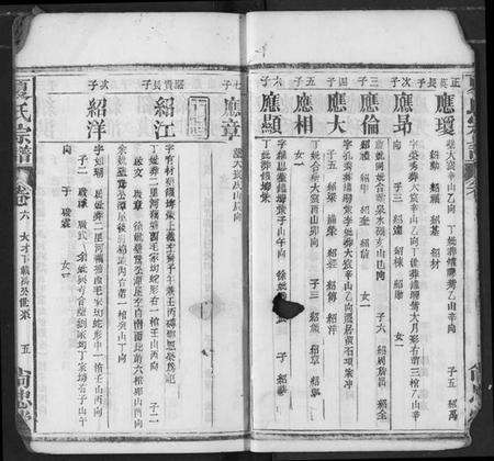 湖北夏氏族谱-夏氏宗谱.pdf电子版预览图5