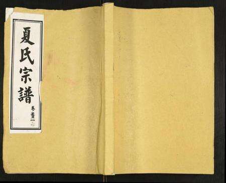 湖北夏氏族谱-夏氏宗谱.pdf电子版缩略图