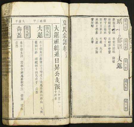 湖北夏氏族谱-夏氏宗谱.pdf电子版预览图2