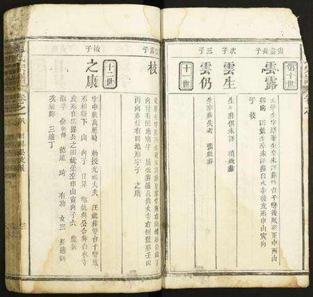 湖北夏氏族谱-夏氏宗谱.pdf电子版预览图3