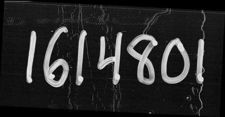 湖北夏氏族谱-夏氏宗谱 [22卷].pdf电子版缩略图