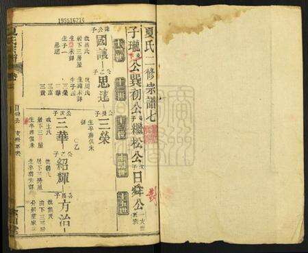 湖北夏氏族谱-夏氏宗谱[15卷].pdf电子版预览图1