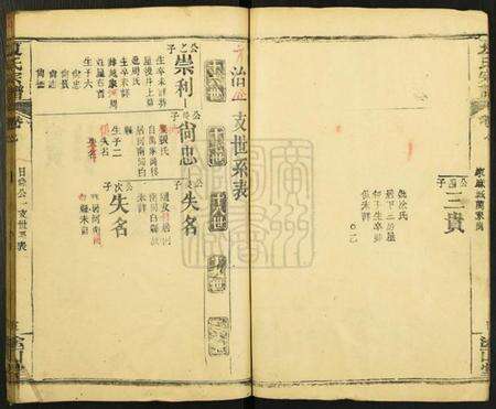 湖北夏氏族谱-夏氏宗谱[15卷].pdf电子版预览图5