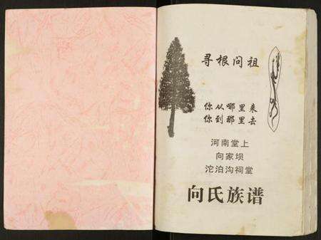 四川向氏族谱-向氏族谱.pdf电子版预览图1