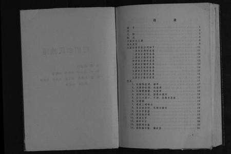 湖北向氏族谱-利川向氏族谱[不分卷].pdf电子版预览图2