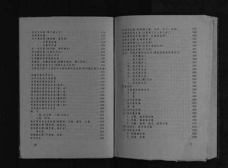 湖北向氏族谱-利川向氏族谱[不分卷].pdf电子版预览图4