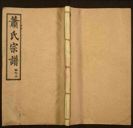 湖北萧氏族谱-萧氏宗谱.pdf电子版缩略图