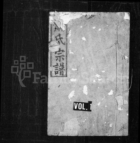 湖北萧氏族谱-萧氏宗谱 [10卷,首1卷].pdf电子版缩略图